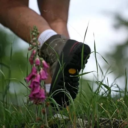 Lilas A - Animaux Admis, Table D'hotes, Terrains Spacieux - Fr-1-582-514 לינה וארוחת בוקר *