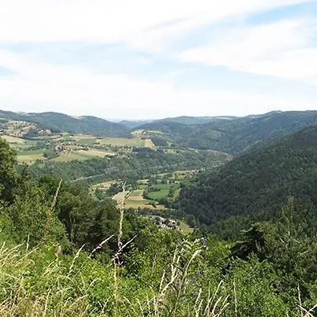 Bed & Breakfast Lilas A - Animaux Admis, Table D'hotes, Terrains Spacieux